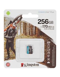 Карта памяти Kingston microSDXC Canvas Go! Class 10 256Gb (SDCG3/256GBSP)