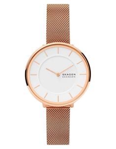 Наручные часы Skagen SKW3013