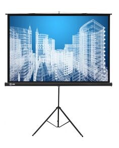 Экран напольный Cactus Triscreen CS-PST-104X186 черный