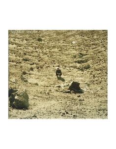 Виниловая пластинка Ben Howard, Noonday Dream (0602567489412) Island Records Group