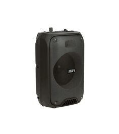 Портативная акустика Eltronic RX-6168
