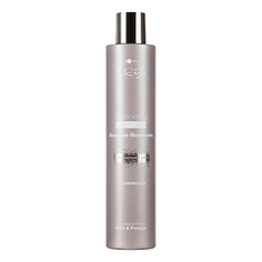 Hair Company, Шампунь Inimitable Style Illuminating, 250 мл