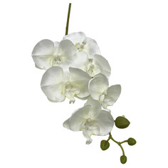 Растения искусственные растение искусственное Орхидея белая 90см Maxijoy
