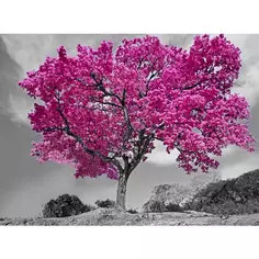 Картина на холсте Розовое дерево 50x70 см Без бренда