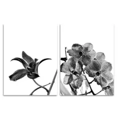 Постер Орхидея 30x40 см 2 шт. Без бренда