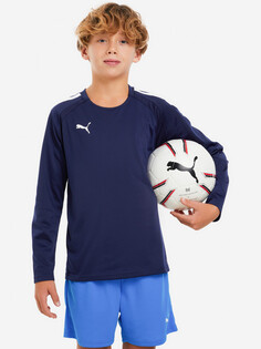 Толстовка футбольный для мальчиков PUMA Teamliga Training, Синий