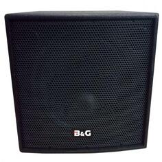 Сабвуферы активные BG EN-15ASUB