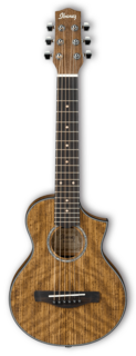 Акустические гитары Ibanez EWP14WB-OPN