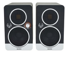 Студийные мониторы EVE Audio SC203