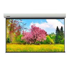 Моторизованные экраны Lumien [LMLC-100112] Master Large Control 360x467 см (раб. область 343х457 см) (225") Matte White FiberGlass
