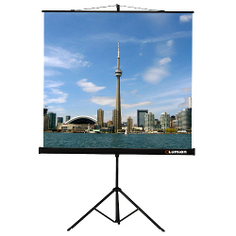 Напольный зкран Lumien Eco View (1:1) 160x160 см Matte White