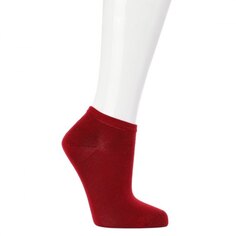 Носки Calzetti