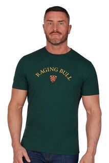 Зеленая футболка с вышитой эмблемой Raging Bull, зеленый