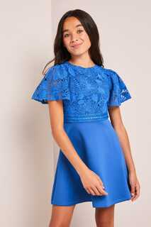 Кружевное платье для особых случаев с расклешенными рукавами Lipsy, синий