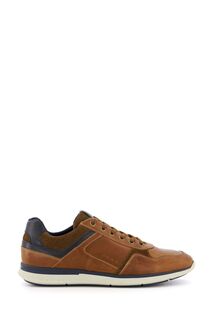 Коричневые спортивные туфли Trended на шнуровке на широкую ногу Dune London, коричневый