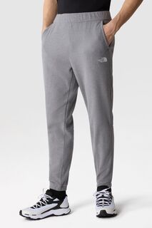 Ледниковые джоггеры The North Face, серый