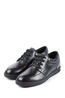 Черные туфли Troiko на шнуровке Kickers, черный