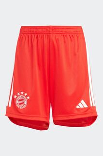 Детские шорты FC Bayern 23/24 Home adidas, красный