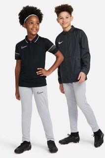 Тренировочные джоггеры Dri-FIT Academy Nike, серый