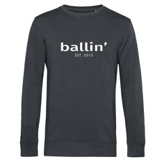 Толстовка Ballin Basic, серый