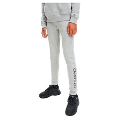 Джоггеры Calvin Klein Jeans Organic Cotton, серый