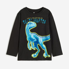 Футболка с длинным рукавом H&amp;M Dinosaur, черный H&M