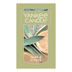 Yankee Candle Sage &amp; Citrus, 22 унции. Большая Свеча Банка Sonoma Goods For Life