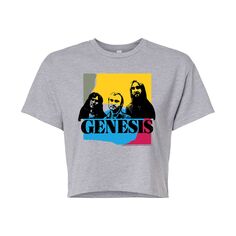 Укороченная футболка с рисунком Genesis Group для юниоров Licensed Character, серый