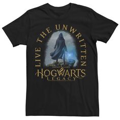 Мужская футболка с рисунком «Гарри Поттер Хогвартс Наследие» и «Живи неписаным» Harry Potter