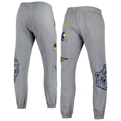 Спортивные брюки Mitchell &amp; Ness Michigan Wolverines, серый