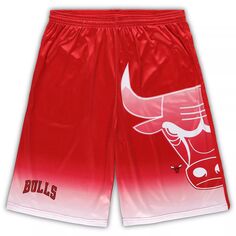 Мужские фирменные красные шорты с рисунком Chicago Bulls Big &amp; Tall Fanatics