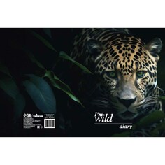 Ежедневник недатированный на сшивке а5 136 листов, интегральная обложка, глянцевая ламинация Calligrata