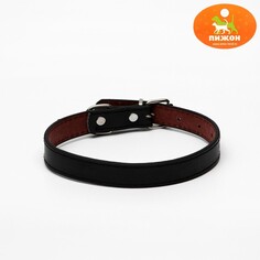 Ошейник для животных Пижон