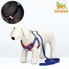 Комплект sport+, l, поводок 120 x 1,5 см, ош 49-56 см, ог 56-68 см, вес животного 20-28 кг, синий 9 Пижон