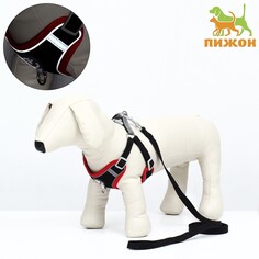 Комплект sport+, l, поводок 120 х 1,5 см, ош 49-56 см, ог 56-68 см, вес животного 20-28 кг, черный Пижон
