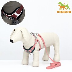 Комплект sport+, xs, поводок 120 x 1,5 см, ош 37-39 см, ог 41-46 см, вес животного 4-6 кг, розовый Пижон