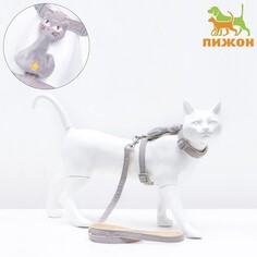 Комплект амуниции с игрушкой, m, поводок 120 х 1,5 см, серый Пижон