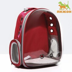 Рюкзак для переноски животных прозрачный, 31 х 28 х 42 см, красный Пижон