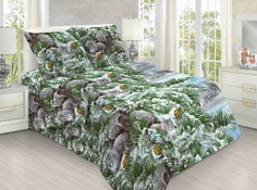 Постельное белье 2-х сп Viola’