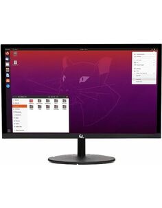 Монитор RDW Computers 23.8" RDW2401K/HDMI черный IPS