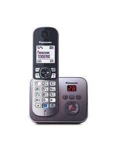 Радиотелефон Panasonic KX-TG6821RUM серый