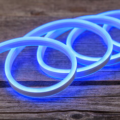 Дюралайт neonled Lotti 41448 со стартовым шнуром