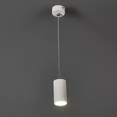 Светильник подвесной Arte Lamp Canopus 1 лампа 2 м² цвет белый