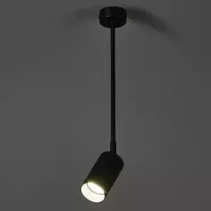 Светильник настенно-потолочный Эра OL45 1 лампа 2 м² цвет черный ERA
