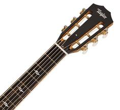 812ce 12-Fret 800 Series Taylor