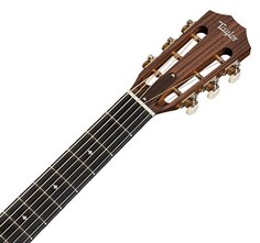 312e 12-Fret 300 Series Taylor