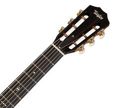 512ce 12-Fret 500 Series Taylor