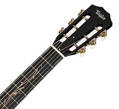 K22ce 12-Fret Koa Series Taylor
