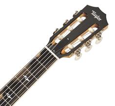 812ce-N 800 Series Nylon Taylor