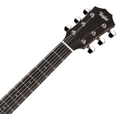 T5Z CLASSIC Taylor